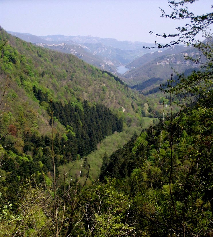 Foreste Casentinesi: La Lama e dintorni